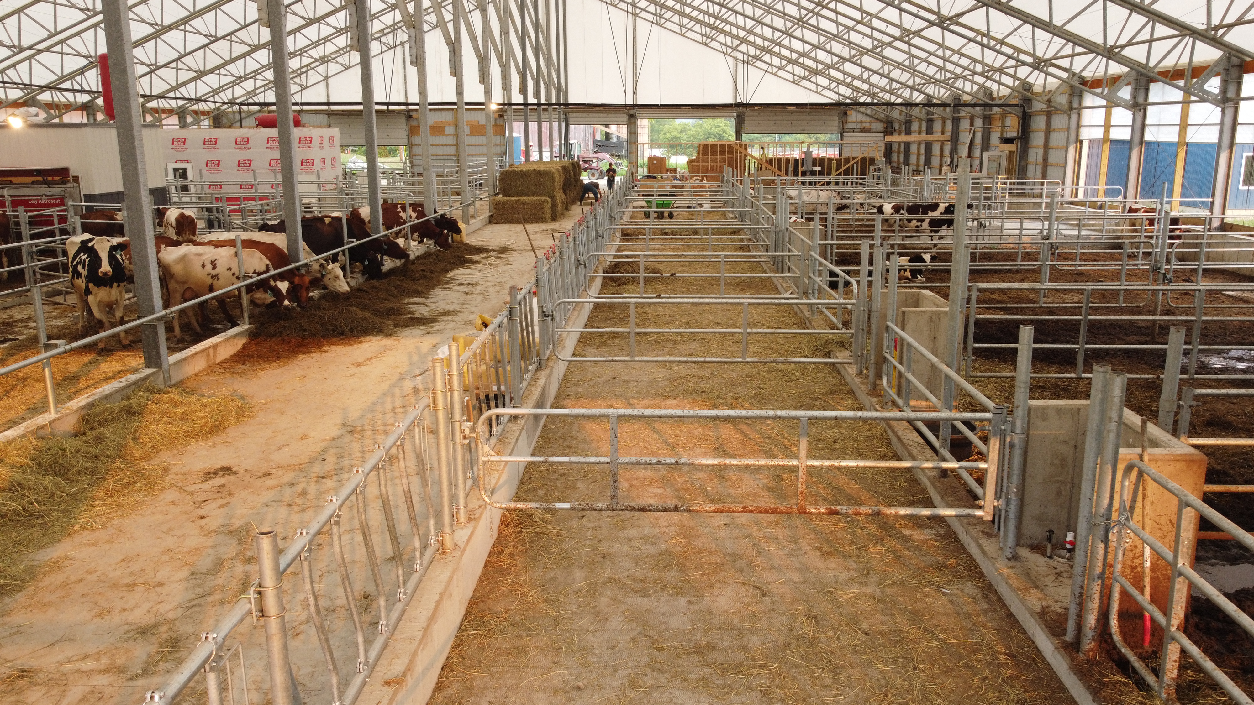 Interior alley and feeding area